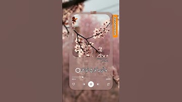 سورة الأعلى الشيخ ناصر القطامي #القرآن_الكريم #ياسر_الدوسري #ناصر_القطامي #قرآن #quran #reels #ترند