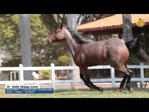 13   Kally Skippy Lena