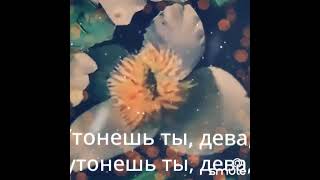 ПО ДОНУ ГУЛЯЕТ...🌄🌾🌻🌾🌻🌾🌻🕊️🌈✨🌿#smule #кавер #рек