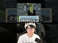 犬に舐められてる配信者 #葉切り抜き