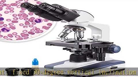 AmScope B120C Siedentopf Binocular Compound Microscope, 40X-2500X Magnification, Brightfield, LED I