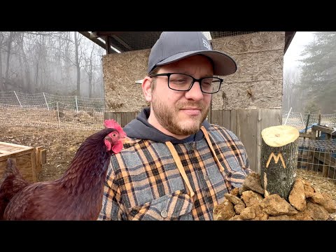 Automatic Chicken Coop Door Installation & Saying Goodbye To Max