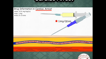 ADRENALINE (Epinephrine) DOSE in CARDIAC ARREST #pediatrics #medicine #epinephrine