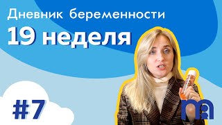 Дневник беременности - выпуск 7, неделя 19