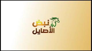 برنامج نبض الاصايل | الحلقة الثانية والثلاثون موسم الرياض 2023