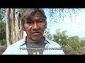 Pueblo Sanapana - Producción en la Comunidad Nueva Promesa - Jaiko Porave Hagua - PCSAN (2018)