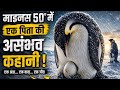 −50°C में एक पिता की असंभव कहानी | Emperor Penguin Survival | Wildlife Documentary 2026