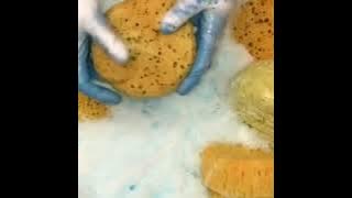 ♻️💙RECYCLED BLUE FABULOSO💙♻️💛CIRCLE SPONGES💛