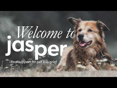 You Don't Have to Grieve Your Pet Alone | Jasper