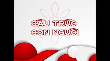 3 Hệ Quy chiếu chuẩn: CẤU TRÚC CON NGƯỜI