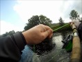 &#39;Long distance catch and release&#39; River Finn 5 July 2012