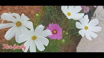 Khu dân cư Sơn tịnh, 577 Quảng Ngãi,  cảnh thiên nhiên hồ, đồi núi tuyệt đẹp.