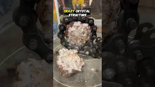 It’s geode cracking time! 💎 #science #shorts #education #geology #learning #dinosaur