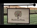 Bundoran farm agrihood in north garden va