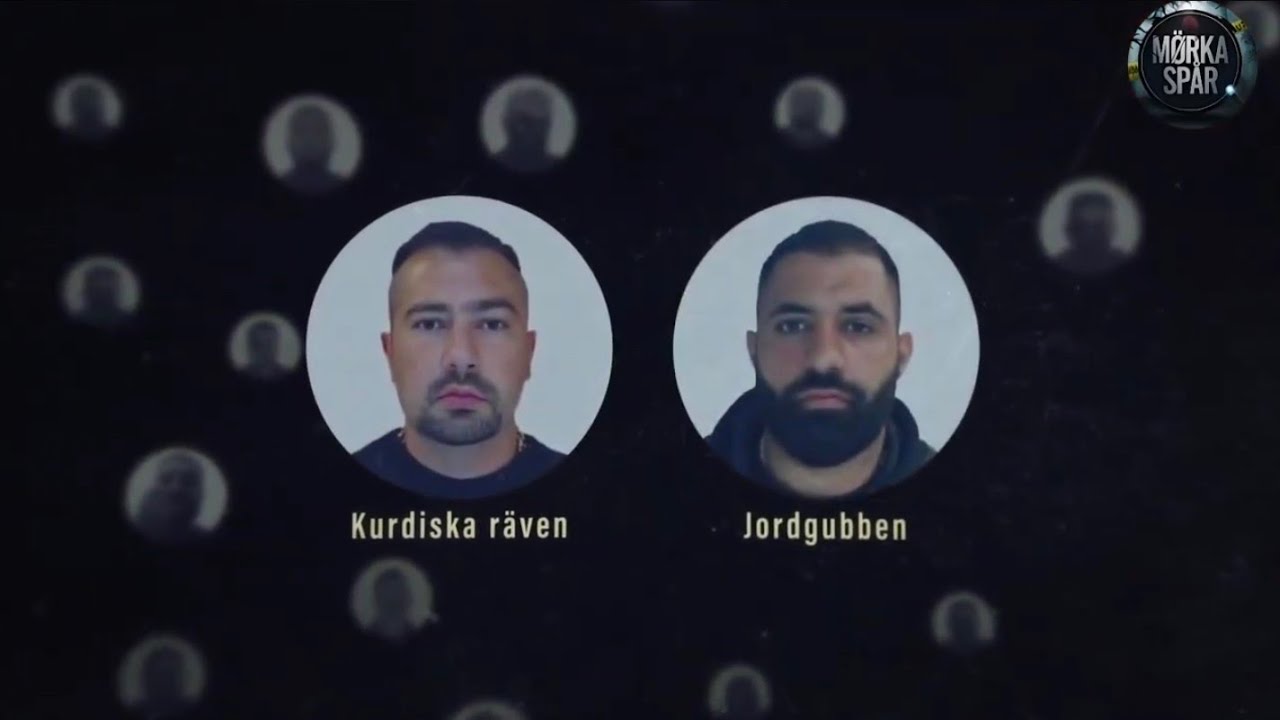 Pala Omar och flykten från Foxtrot Nätverket | Golade på den kurdiska räven 