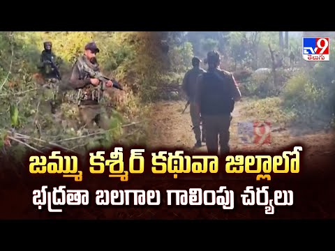 జమ్ము కశ్మీర్ కథువా జిల్లాలో భద్రతా బలగాల గాలింపు చర్యలు - TV9 - TV9