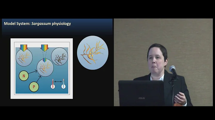 Maureen Brooks: A Lagrangian Perspective on the Fl...