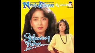 DIARY BIRU. COVER NINDY ELESE.(WESSING).2 Mei 2024