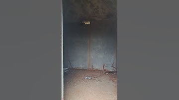 Abandoned House #viral #viralvideo #shortvideo #shorts #abandoned #hardwork #music #farmhouse #love