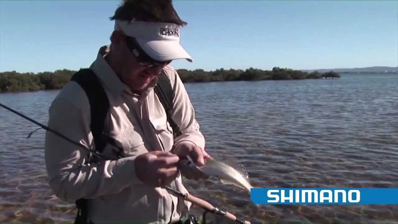 Catching Yellowfin Whiting "Part 1" SHIMANO FISHING YouTube
