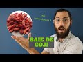 Baie de goji  bienfaits  dangers 