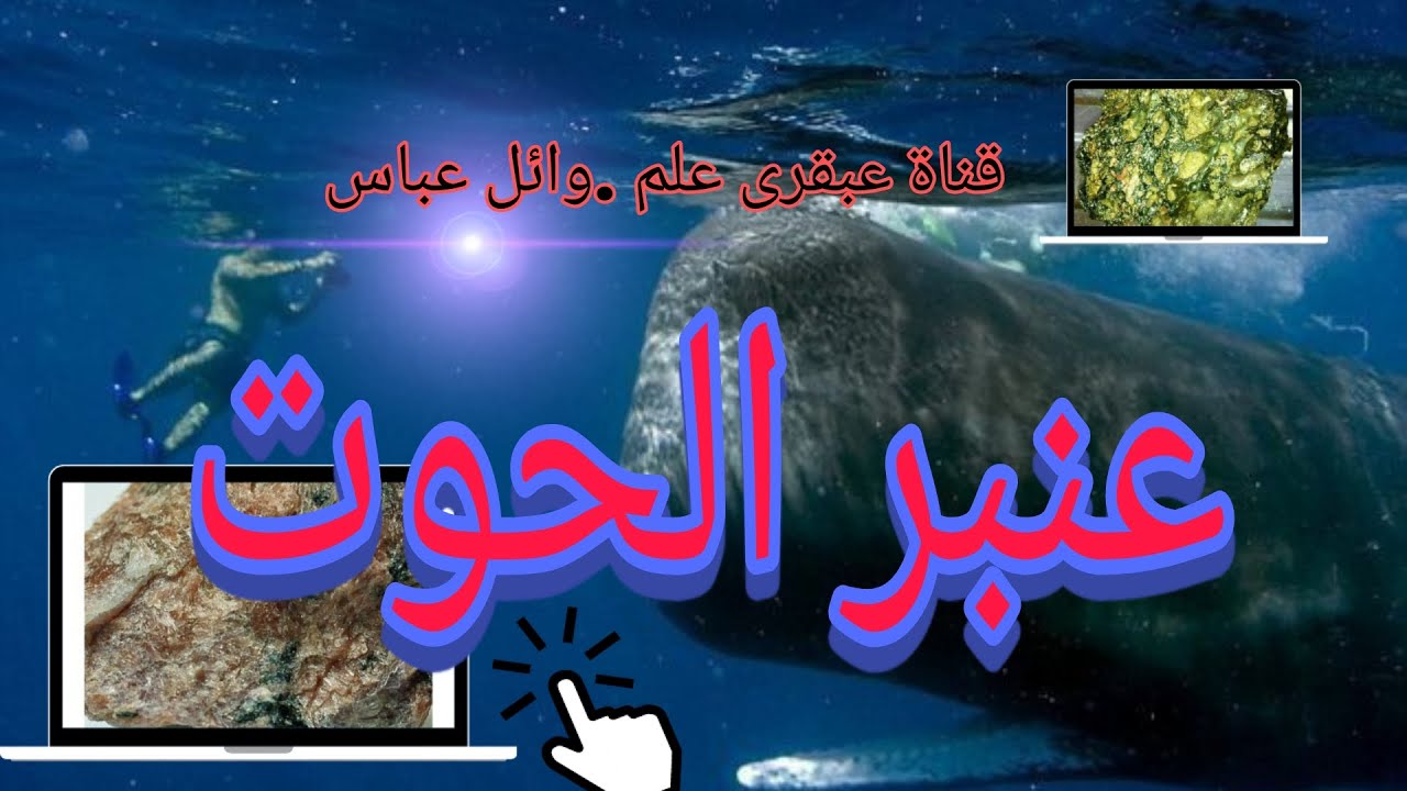 عنبر الحوت .amber whale