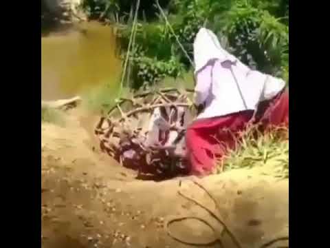 Video: Apakah suatu daerah diairi oleh sungai dan anak-anak sungainya?