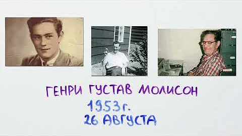 Как работает наша память? — Научпок