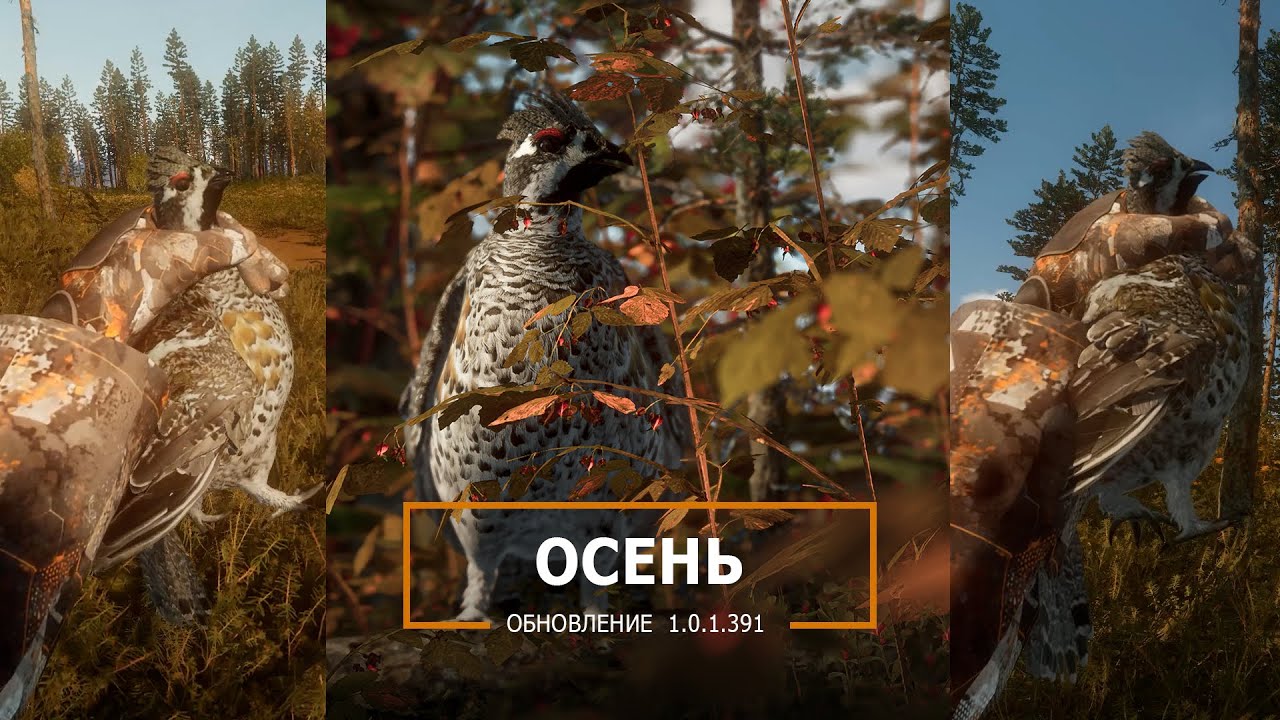 Bult. Как охотиться на рябчика.