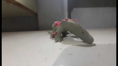 salamander explosion animation test