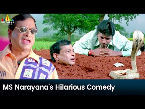 MS Narayana's Hilarious Comedy | Krishna Telugu Movie Scenes | Ravi Teja, Trisha @SriBalajiMovies - SRIBALAJIMOVIES