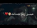 حالات واتس مجد العلي اغنيه عيني ربو حلاكي