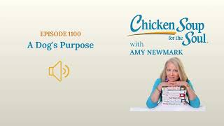 EPISODE 1100 A Dog's Purpose