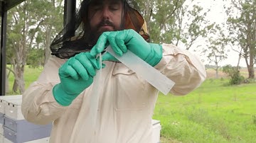 Varroa Apivar and Apitraz Treatment v5