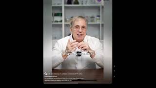 Guild Labs @ Gemfields Auction BKK 2025