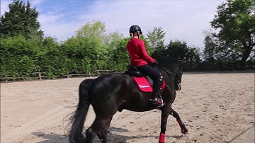 Improve your Canter Pirouette - Exercise - Dressage Training