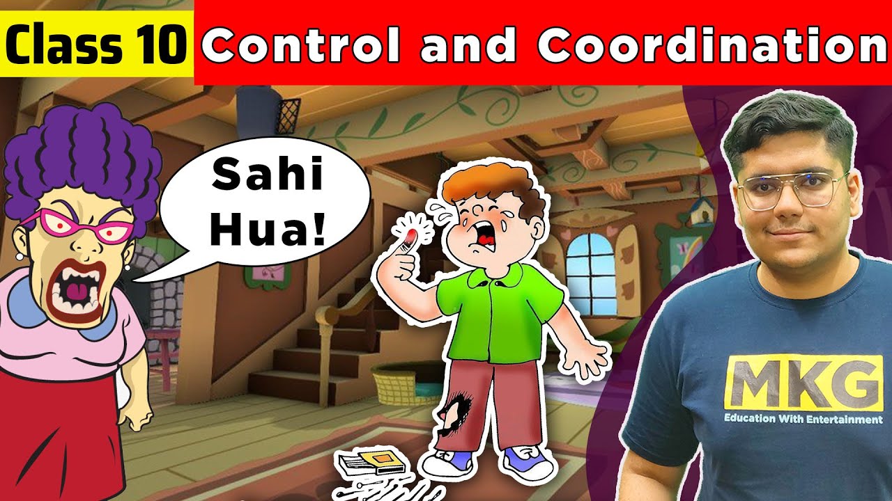 Control and Coordination | Class 10 science chapter 7 | Class 10 ...