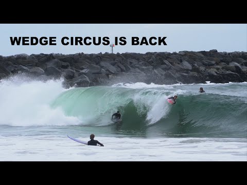 WEDGE CIRCUS IS BACK Kinda SOFT OPENING DAY 2024