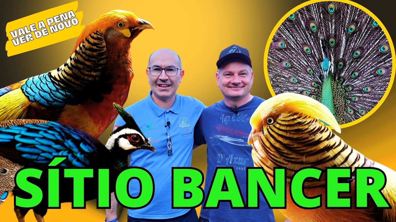 QUANTAS AVES RARAS NESTE PARAÍSO!!!