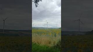 Windpark Bucha-Coppanz mit Vestas und Enercon und Nordex Anlagen am 29.07.2025