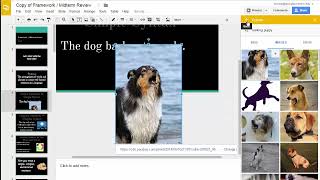 Tech Tuesday #05: Explore in Drive Citations, Layout