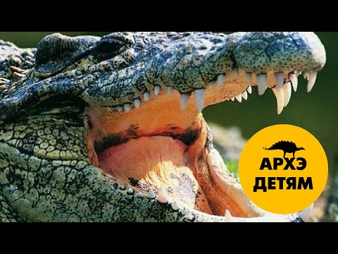 Самые опасные рептилии | Александр Хабургаев (выпуск 7)