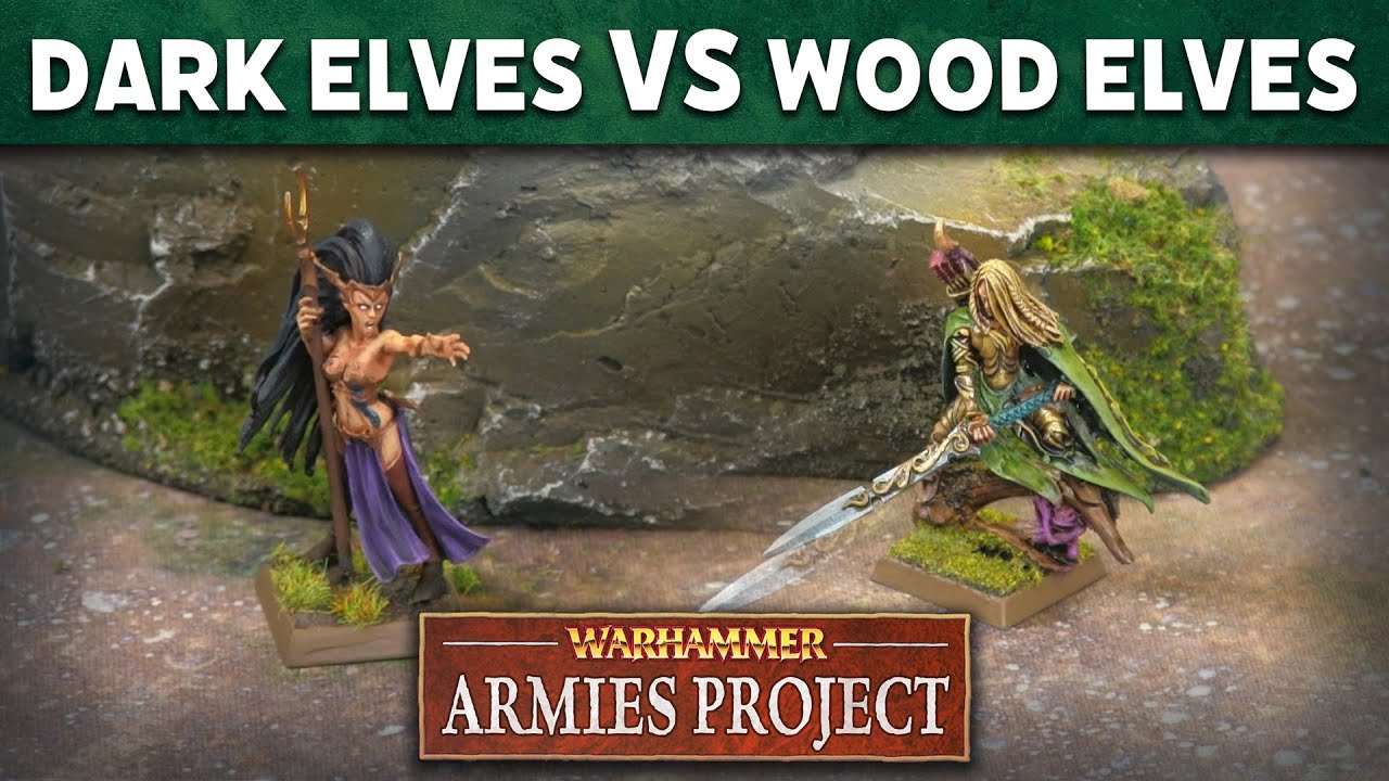 Wood Elves vs Dark Elves Warhammer Armies Project Battle Report YouTube