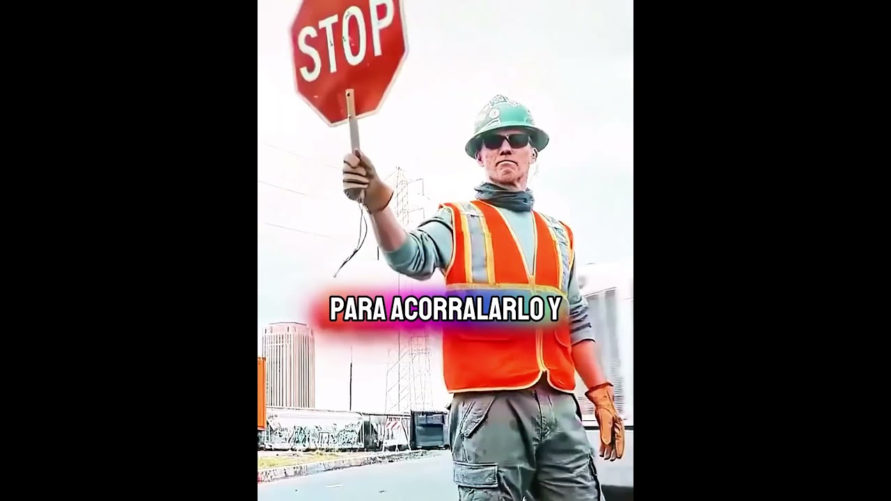 #TikTokFilmTVCompetition