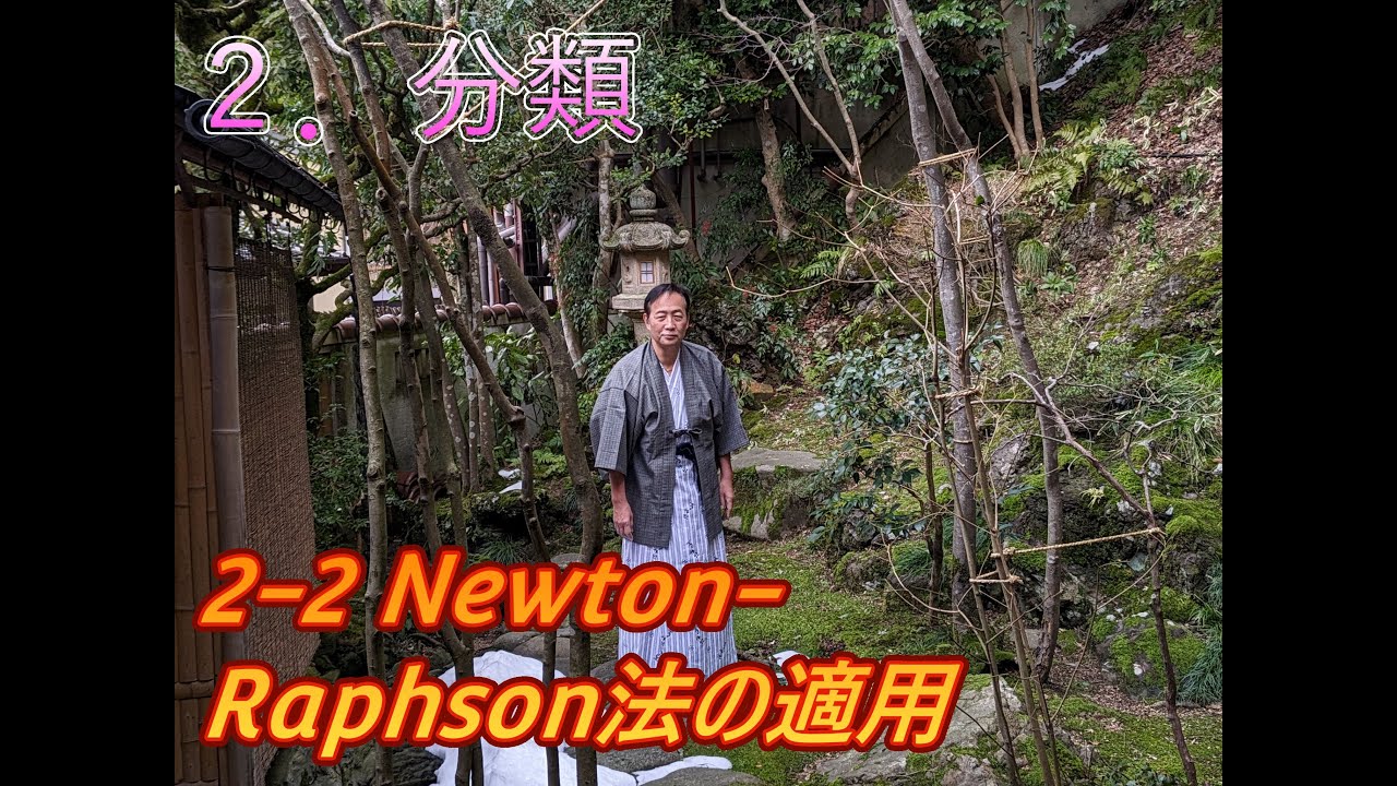 2. 分類「2-2 Newton-Raphson法の適用」