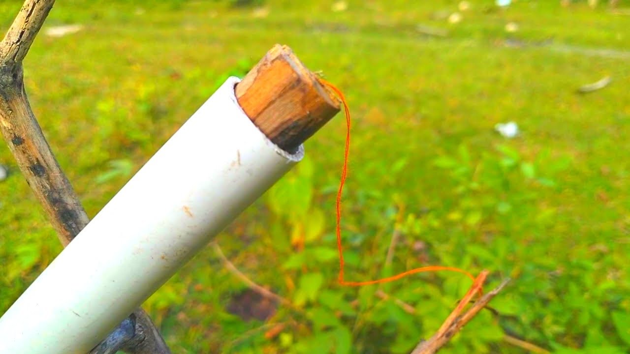 Jebakan Burung Dari Pipa Paralon