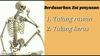 Jenis tulang serta fungsi tulang lengan dan tulang kaki