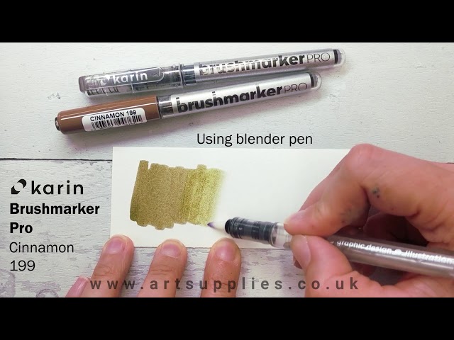 karin BRUSHMARKERS — Pickle Papers