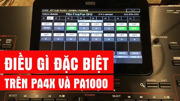 Nếu cầm KORG PA4X hoặc PA1000 trong tay, bạn cần lưu ý điểm gì?