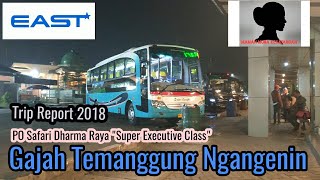 Mwpl Story Trip Report Safari Dharma Raya Obl Tragedi Airsus Mbledoosss